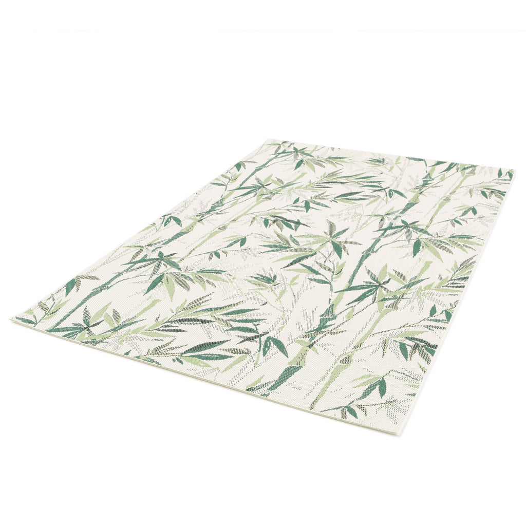 Comet Floral