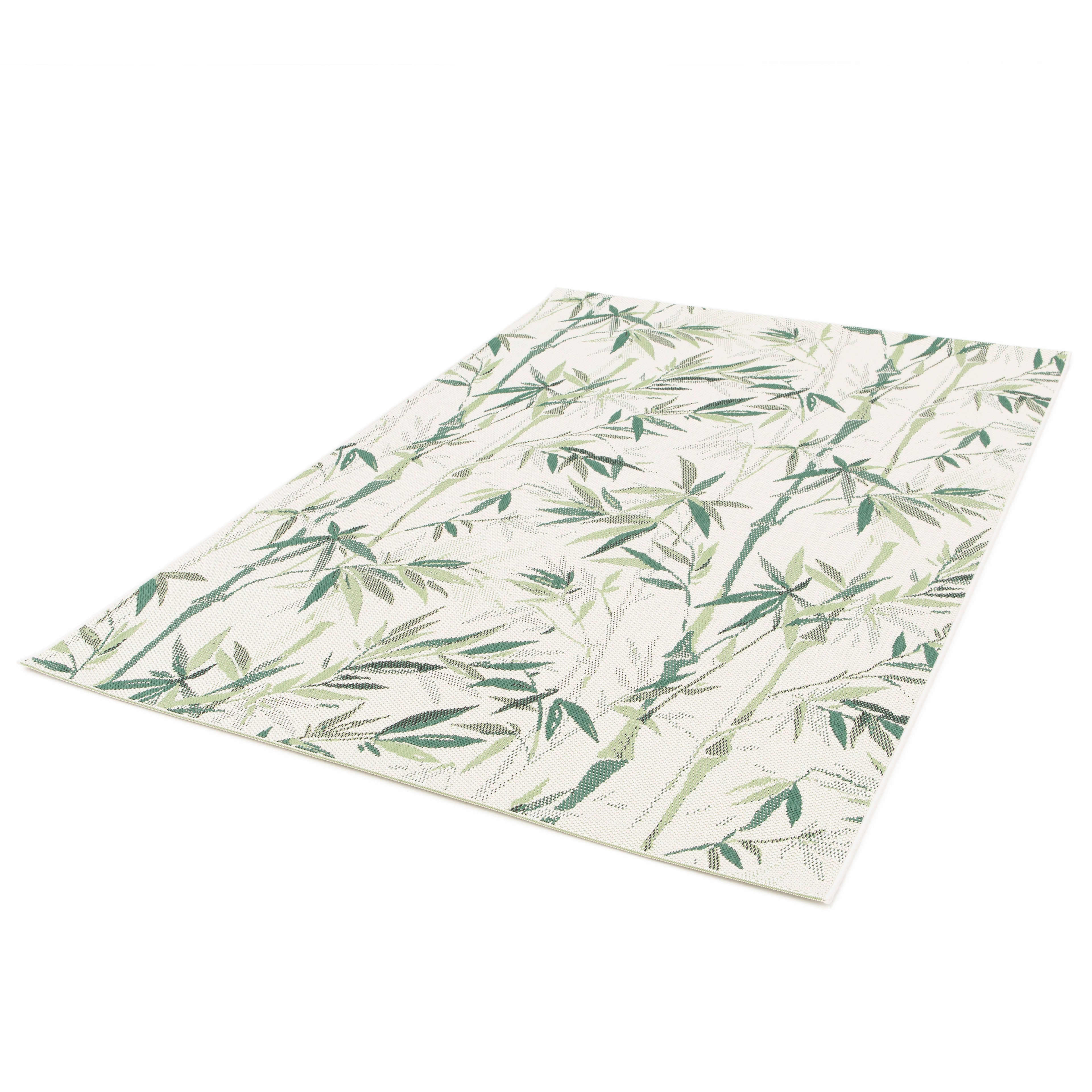Comet Floral