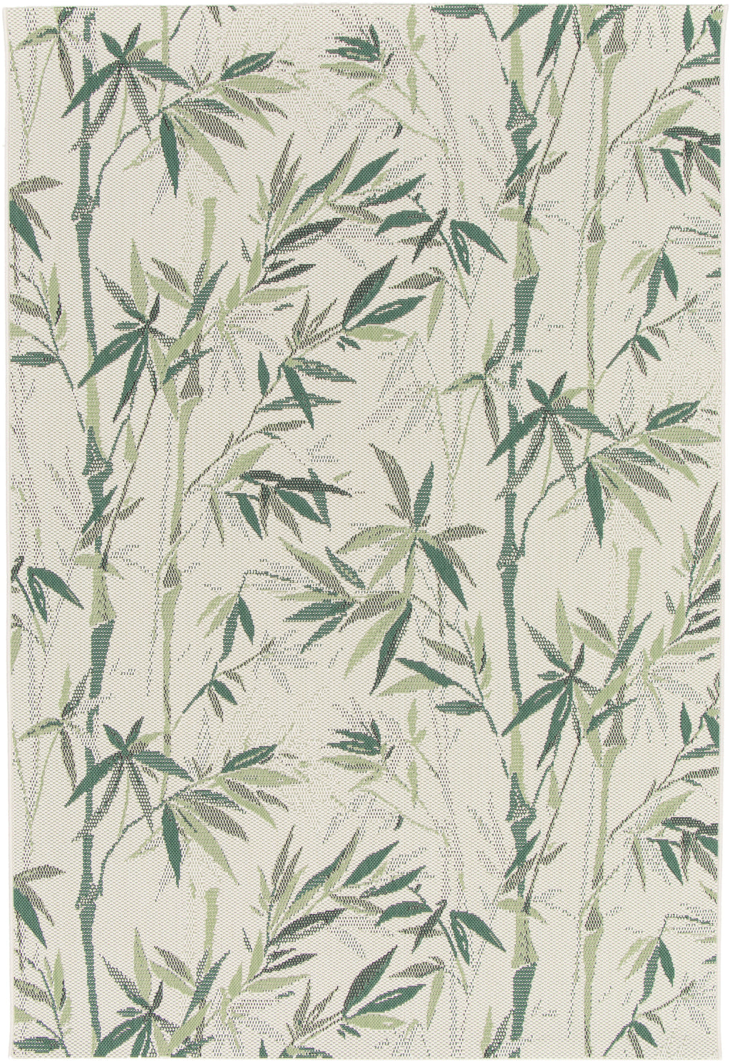Comet Floral