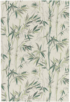 Comet Floral