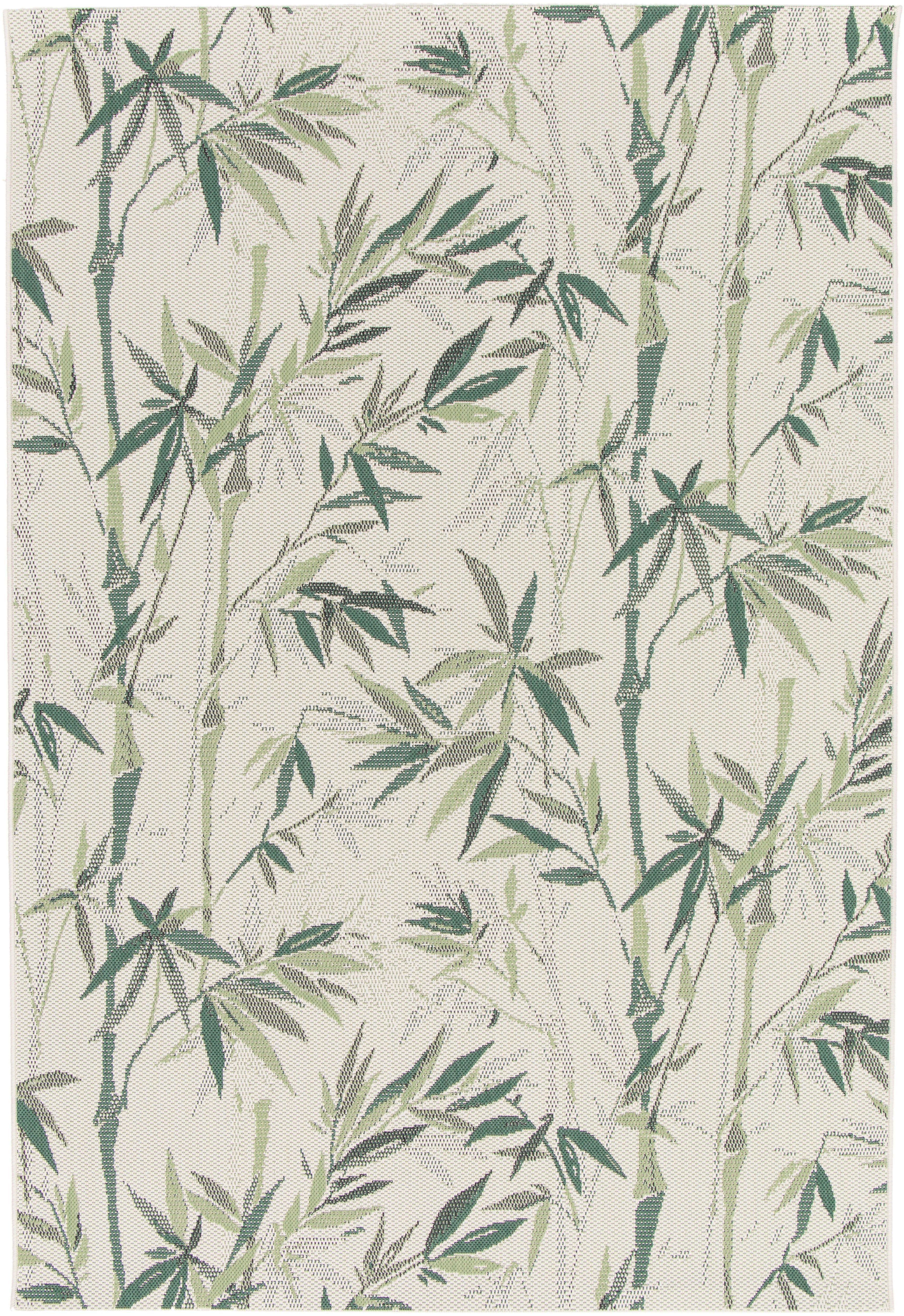 Comet Floral