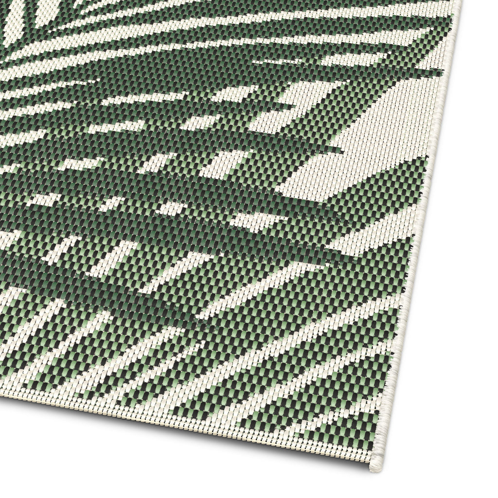 Comet Palm