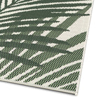 Comet Palm