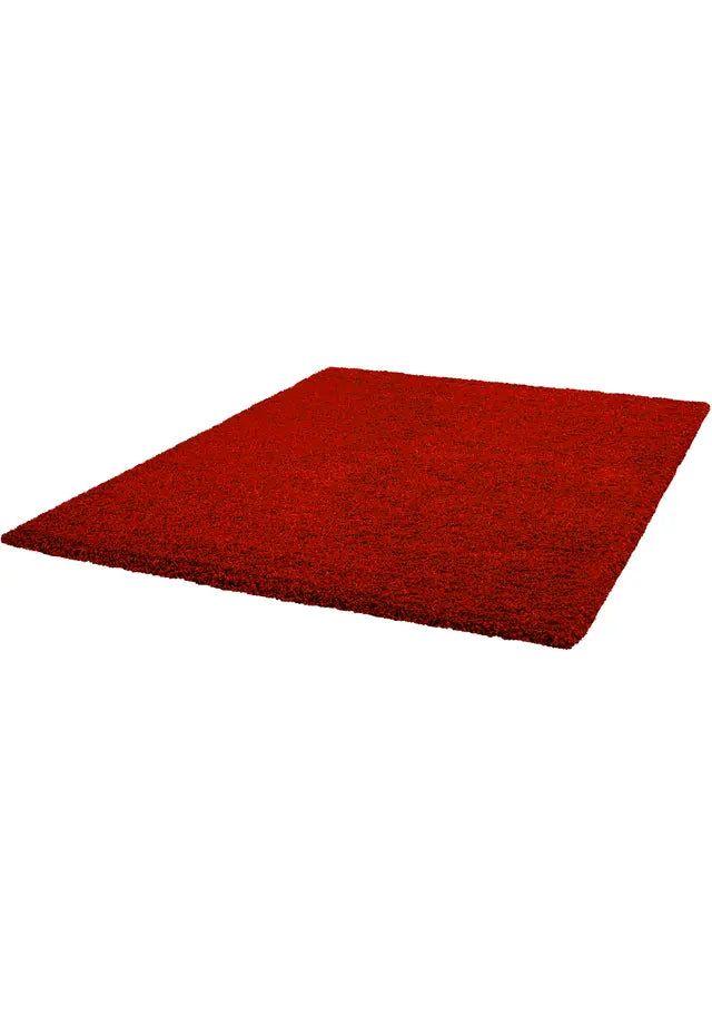 Cirrus Shaggy Red