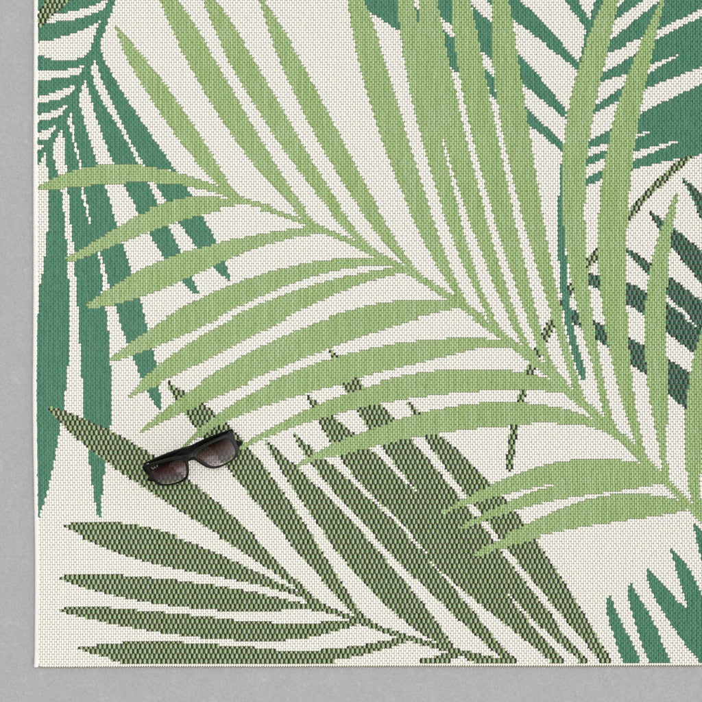 Comet Palm